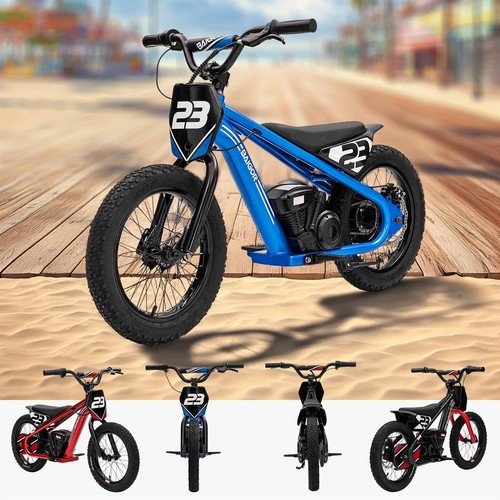 Riiroo kidcruiser pro 250w - kidcruiser,