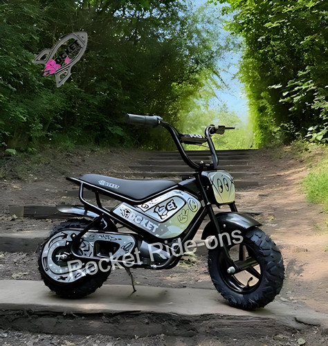 Kids 24v electric mini monkey - mini,