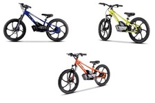 Neo Outlaw 20″ 500W Electric