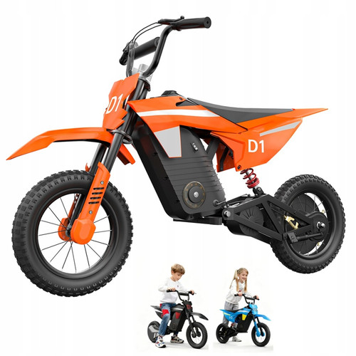 Electric kids dirt bike 300w - bike,