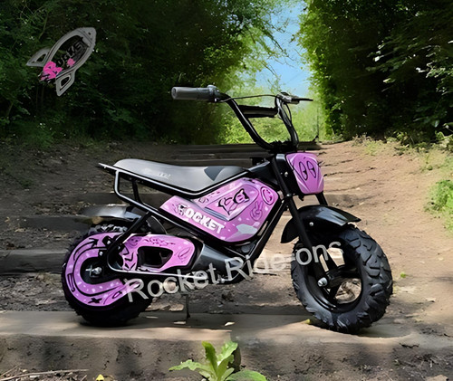 Kids 24v electric mini monkey - electric,